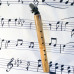 Hardwood Bamboo Saxaflute key of C Hardwood Bamboo Saxaflute key of C